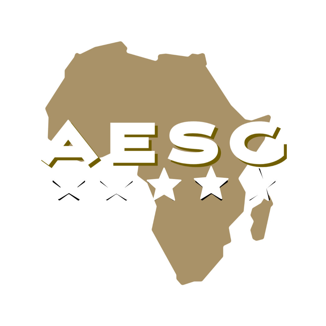 Africa Economic Summit Group